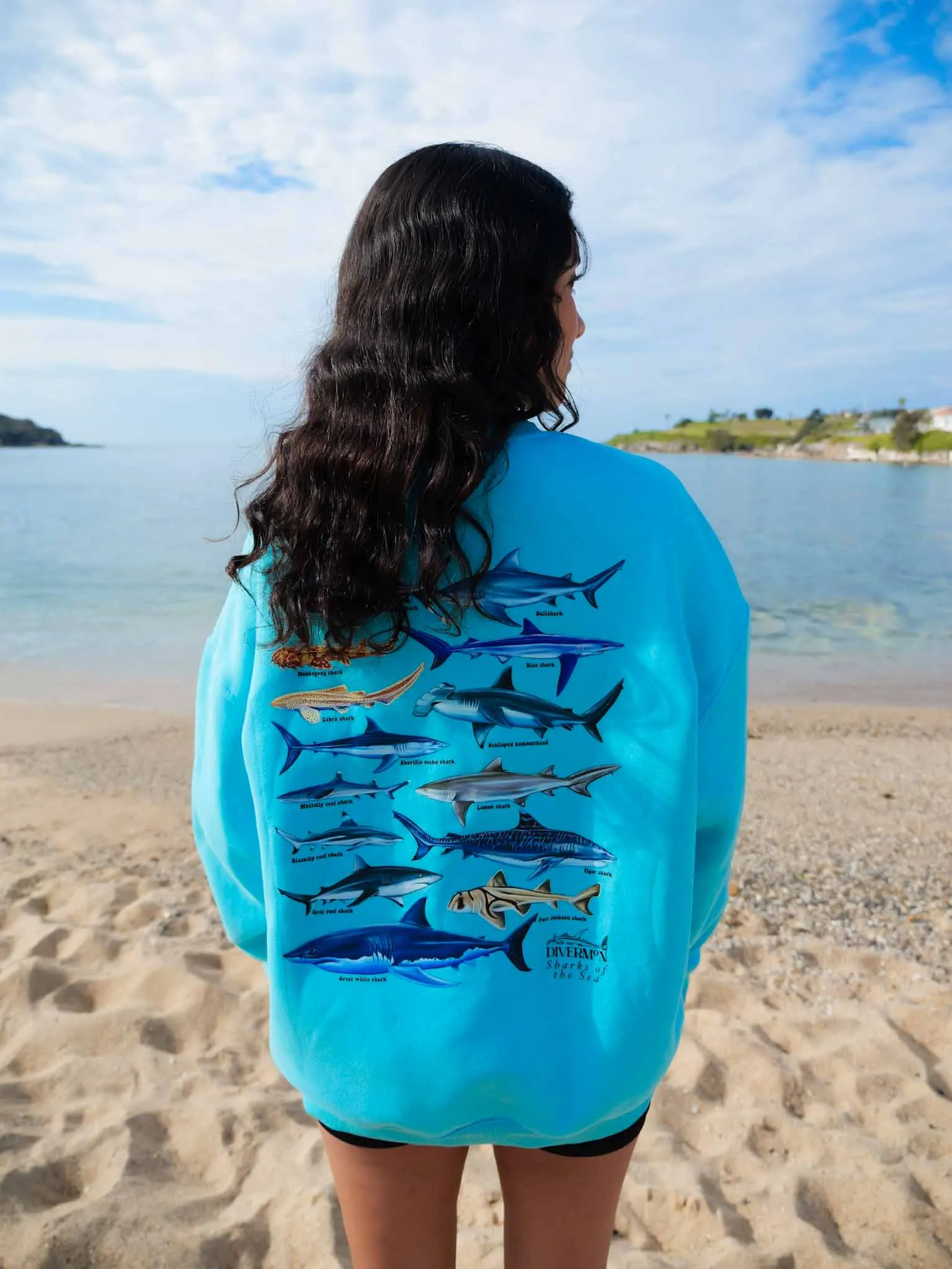 BLUE SHARKS JUMPER