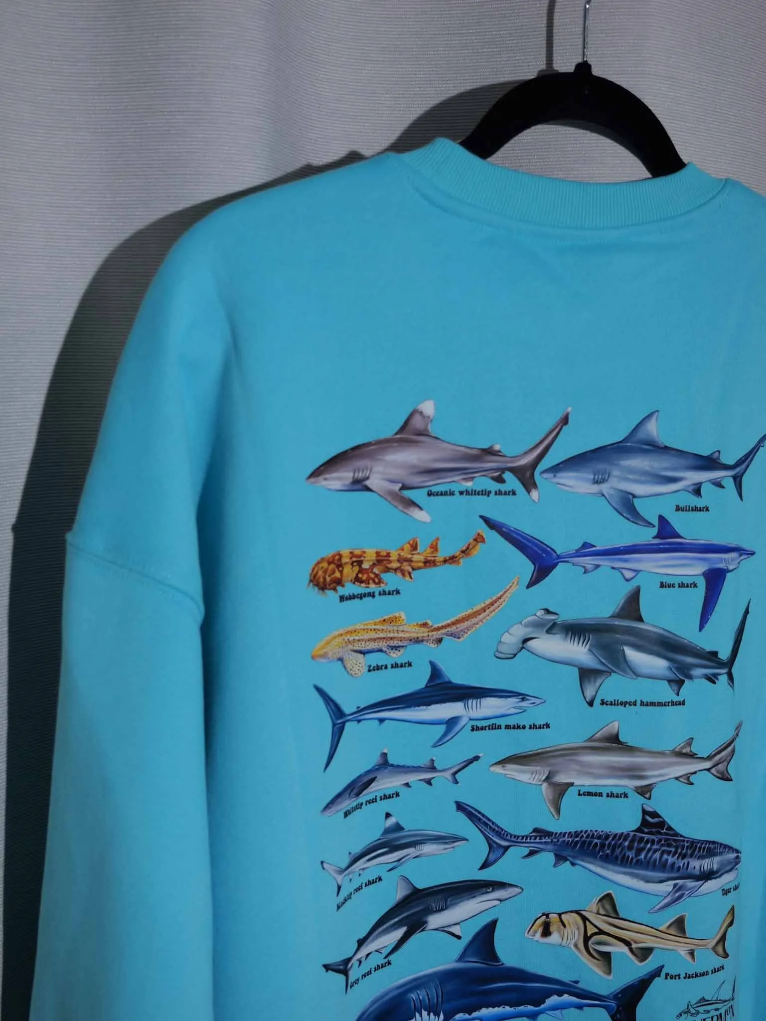 BLUE SHARKS JUMPER