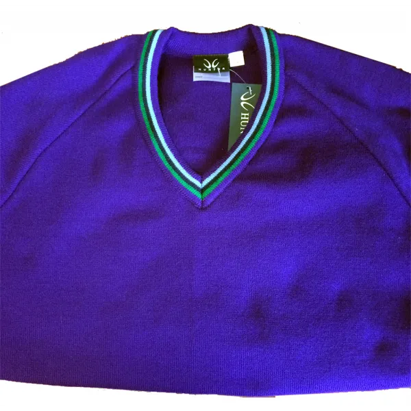 Cedar Lodge Secondary School V-Neck Jumper