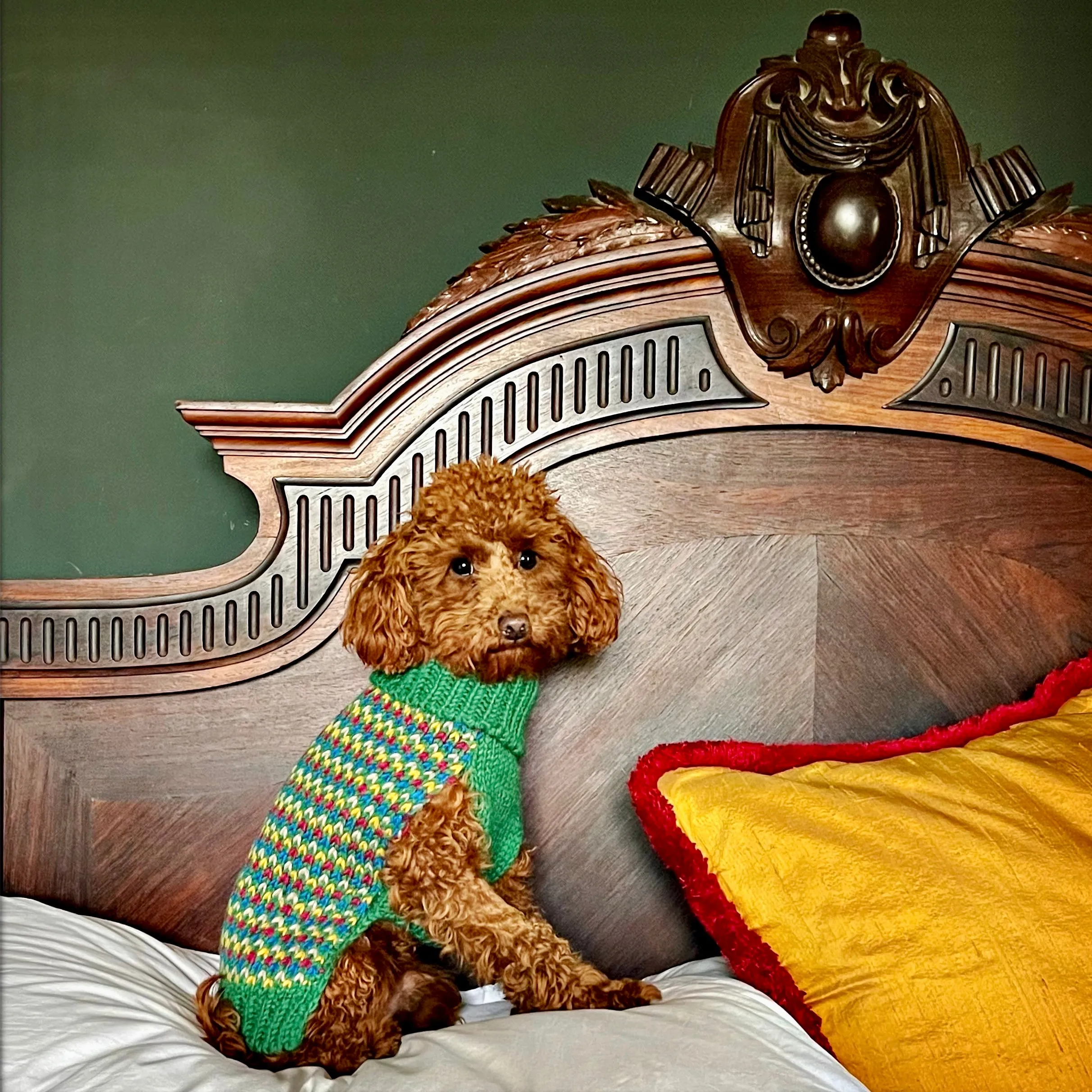 Eric Pea Green Designer Luxury Wool Ski Dog Jumper