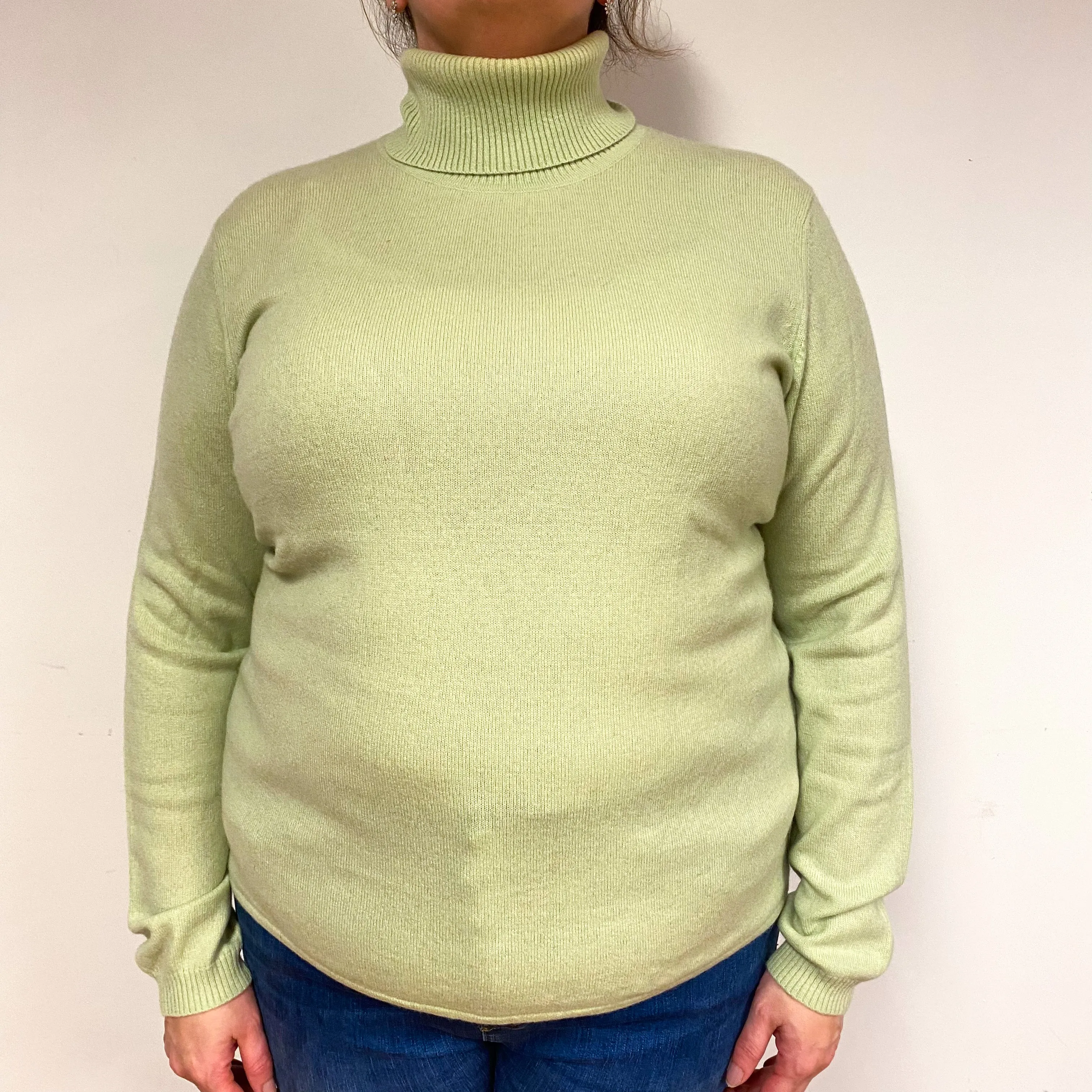 Hellebore Green Cashmere Polo Neck Jumper Extra Large