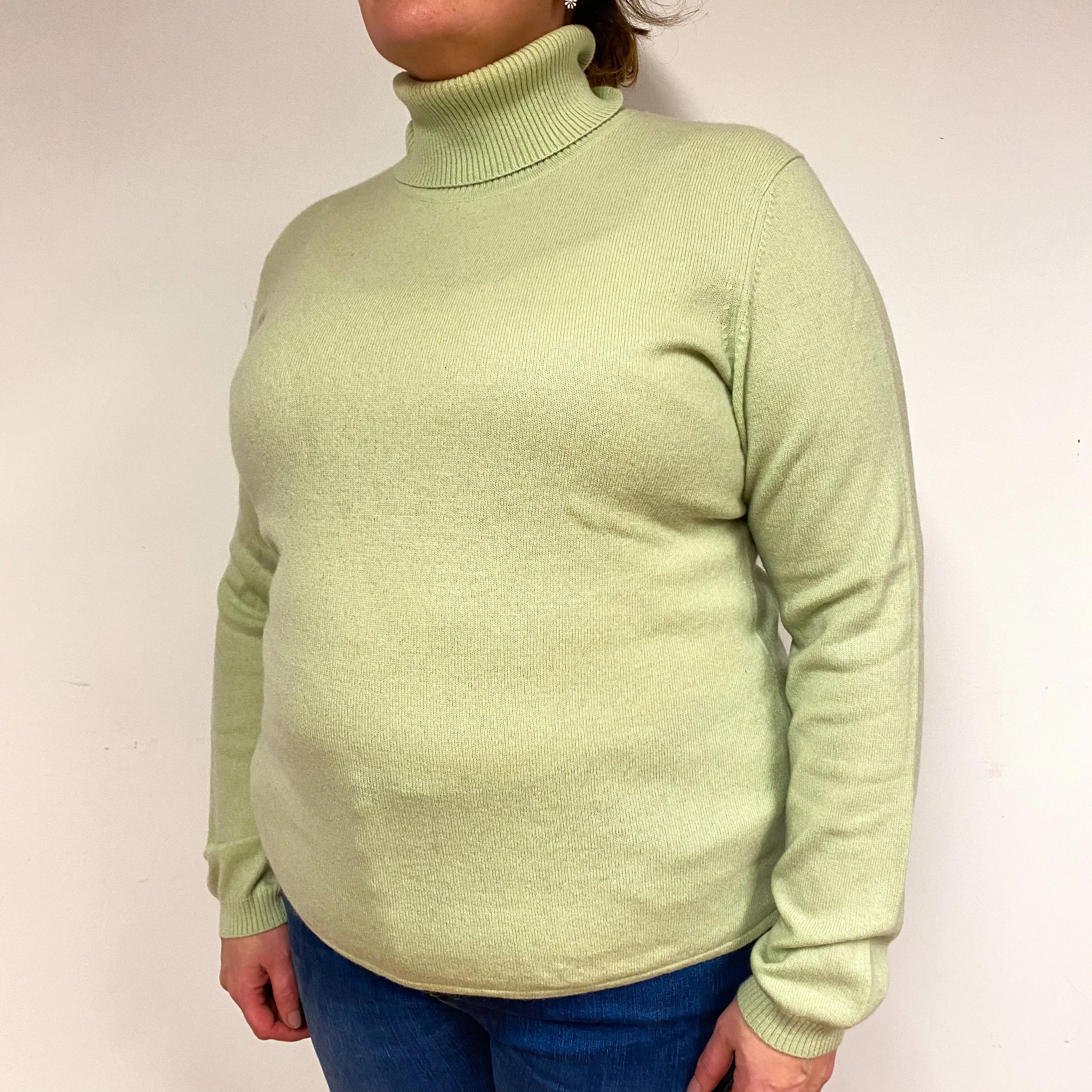 Hellebore Green Cashmere Polo Neck Jumper Extra Large