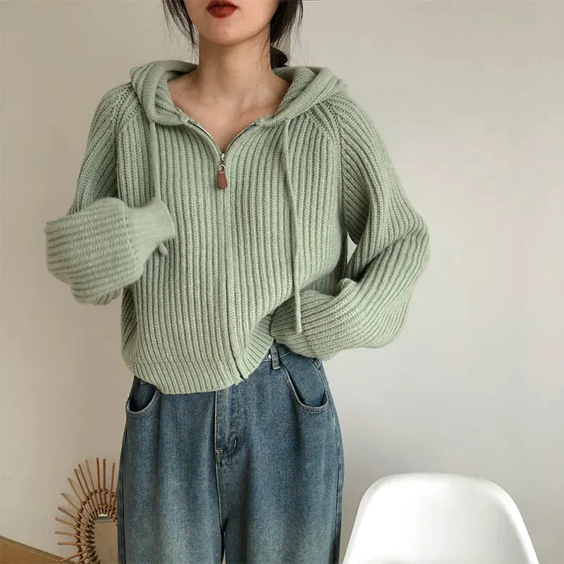 Hnewly Women Long Sleeve Sweater Korean Style Casual Outerwear Woman Fashion Chic Zip Up Cardigan Knit Top Female Hooded Jumper